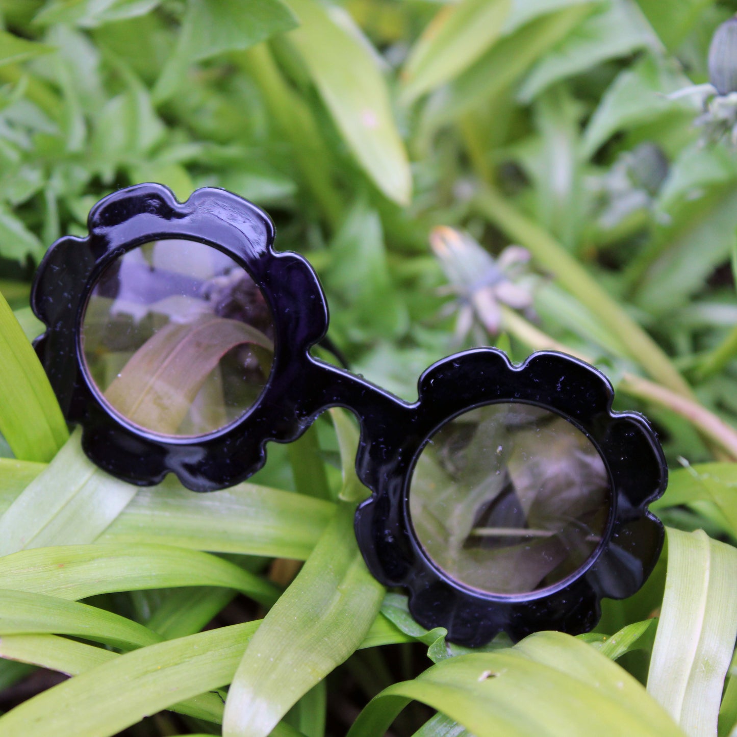 Black sunglasses with floral design on a green leafy background